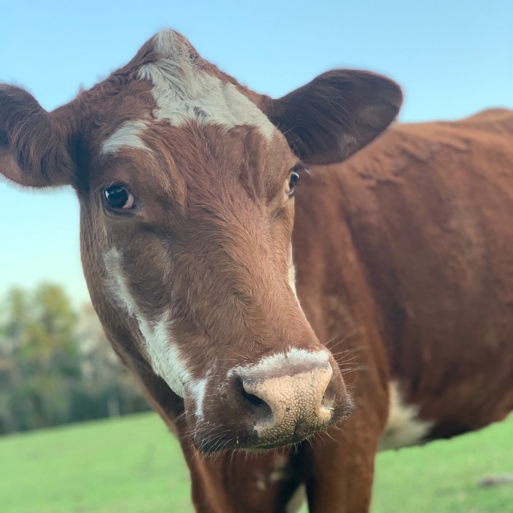Meet your Posher, Katelynn